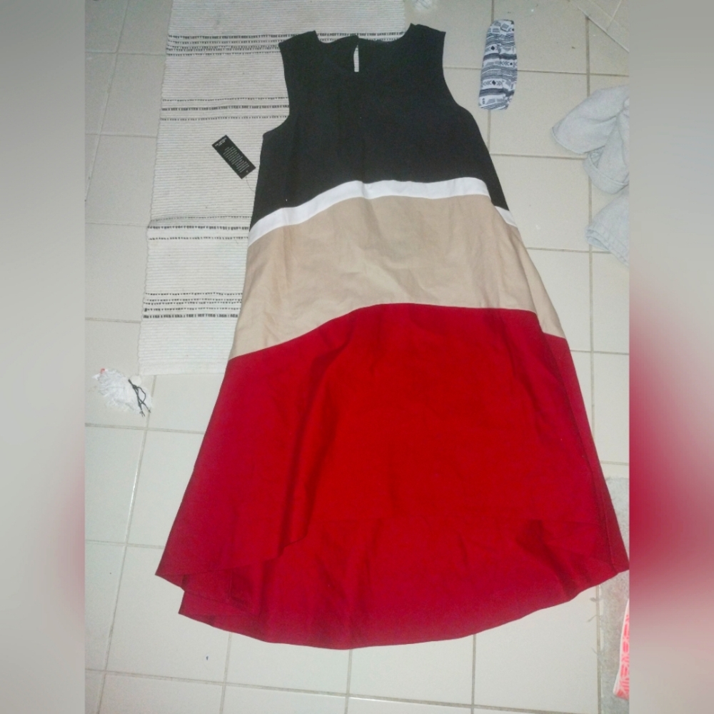 Black and Tan Sleeveless A-Line Dress